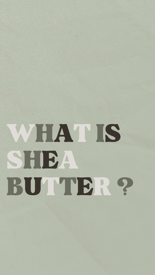 What is Shea Butter?